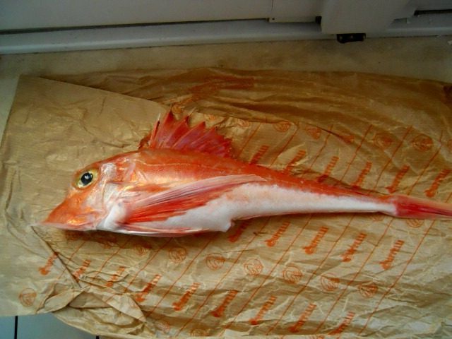 Lyreknurr